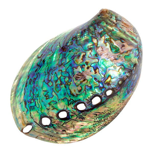 TALBOT FASHIONS LLP Bowls Polished Paua Shell TJ300