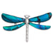 TALBOT FASHIONS LLP Jewelry Paua Shell Dragonfly Pin Badge TJ359
