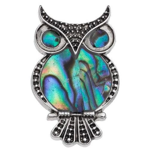 TALBOT FASHIONS LLP Jewelry Paua Shell Owl Pin Badge TJ361