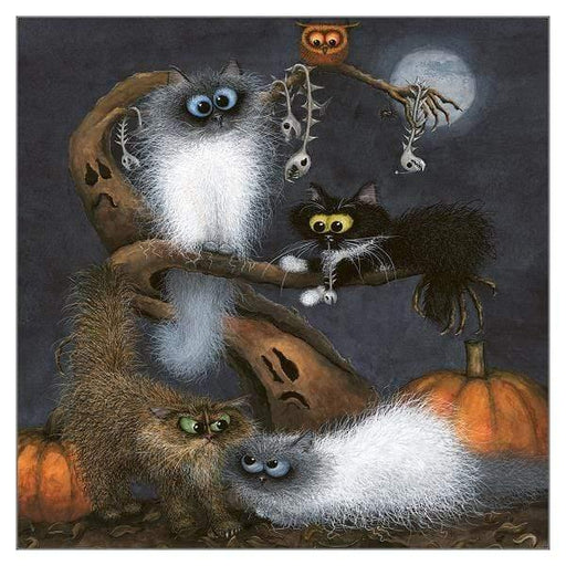 Tomcat Cards Greeting Card Bump in the Night Card TL6348
