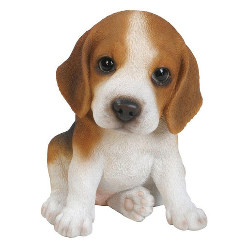 Vivid Arts Puppy Figurine Beagle Puppy Pet Pals Home or Garden Decoration PP-BEAG-F
