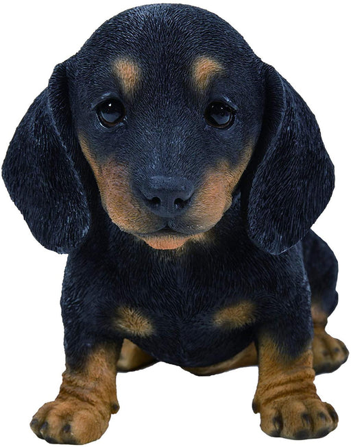 Vivid Arts Puppy Figurine Black and Brown Dachshund Puppy Pet Pals Home or Garden Decoration PP-DACH-F