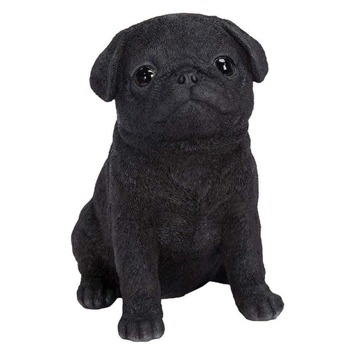 Vivid Arts Puppy Figurine Black Pug Puppy Pet Pals Home or Garden Decoration PP-BPUG-F