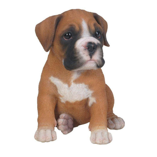 Vivid Arts Puppy Figurine Boxer Puppy Pet Pals Home or Garden Decoration PP-BOXR-F