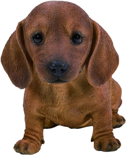 Vivid Arts Puppy Figurine Brown Dachshund Puppy Pet Pals Home or Garden Decoration PP-DCHB-F