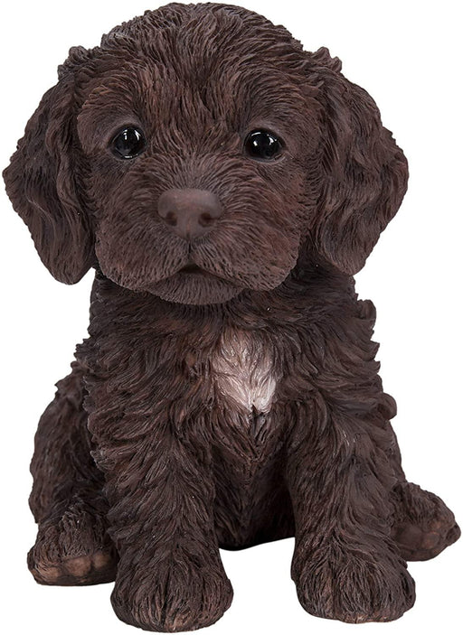 Vivid Arts Puppy Figurine Chocolate Cockapoo Puppy Pet Pals Home or Garden Decoration PP-CKP7-F