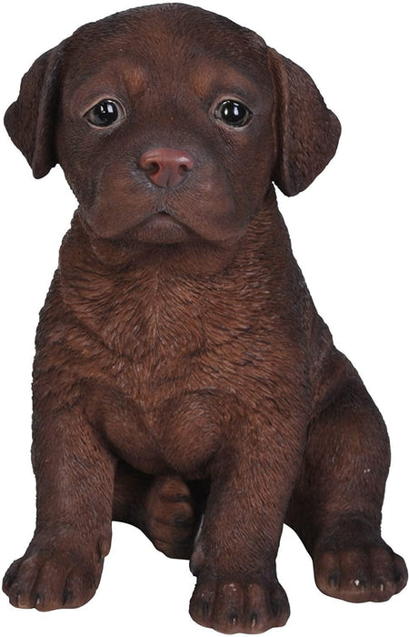 Vivid Arts Puppy Figurine Chocolate Labrador Puppy Pet Pals Home or Garden Decoration PP-BROL-F