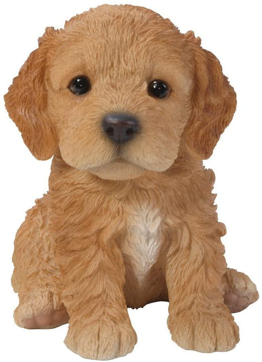 Vivid Arts Puppy Figurine Cockapoo Puppy Pet Pals Home or Garden Decoration PP-CKP5