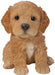 Vivid Arts Puppy Figurine Cockapoo Puppy Pet Pals Home or Garden Decoration PP-CKP5