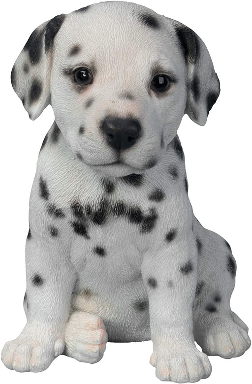 Vivid Arts Puppy Figurine Dalmatian Puppy Pet Pals Home or Garden Decoration PP-DALM-F