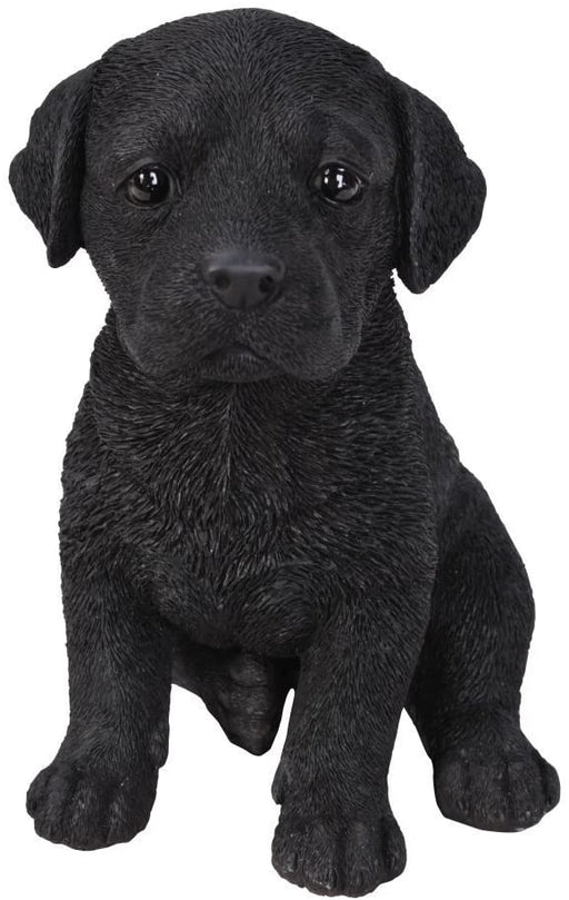Vivid Arts Puppy Figurine Labrador Puppy Pet Pals Home or Garden Decoration PP-BLAB-F