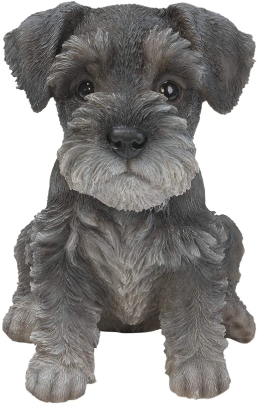 Vivid Arts Puppy Figurine Miniature Schnauzer Puppy Pet Pals Home or Garden Decoration PP-MINS-F
