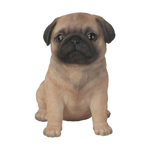 Vivid Arts Puppy Figurine Pug Puppy Pet Pals Home or Garden Decoration PP-PUGG-F