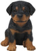 Vivid Arts Puppy Figurine Rottweiler Puppy Pet Pals Home or Garden Decoration PP-ROTT-F