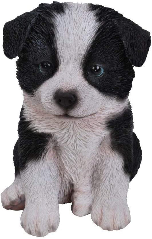Vivid Arts Puppy Figurine Sheepdog Puppy Pet Pals Home or Garden Decoration PP-SDOG-F