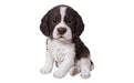 Vivid Arts Puppy Figurine Springer Spaniel Puppy Pet Pals Home or Garden Decoration PP-SPSP-F