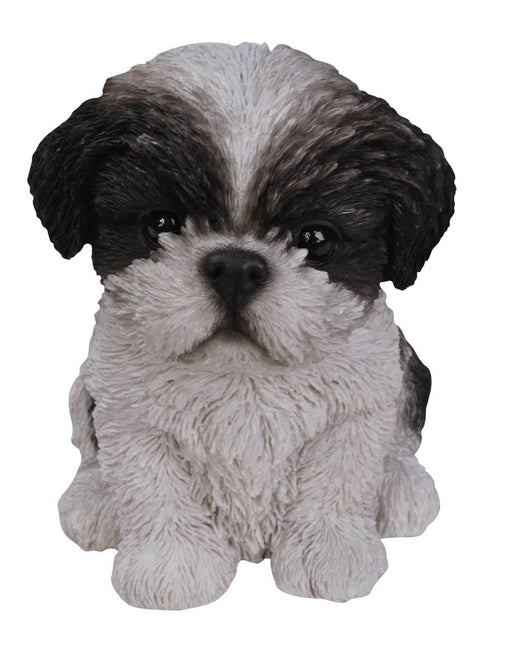 Vivid Arts VIVID ANIMALS Shih Tzu Black & White Pet Pal By Vivid Arts PP-SZBK-F