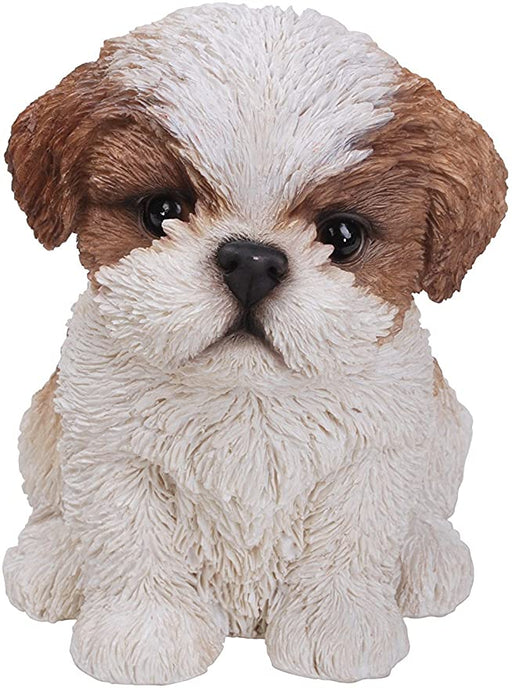 Vivid Arts VIVID ANIMALS Shih Tzu Brown & White Pet Pal By Vivid Arts PP-STZU-F