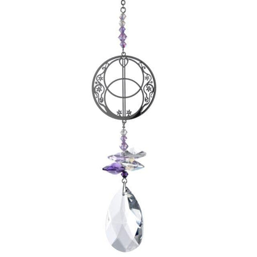 Wild Things Hanging Crystal Vesica Pisces Hanging Crystal Fantasy Rainbow Maker with Swarovski® Crystal 8061-VES-PUR